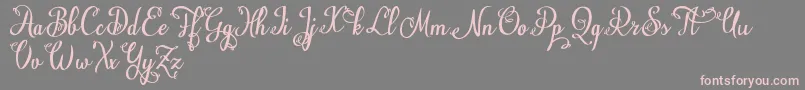 Weitere Informationen zur NatylDemo-Schriftart NatylDemo-Schriftart – Rosa Schriften auf grauem Hintergrund
