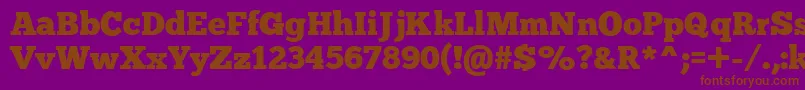 Chunkfive Font – Brown Fonts on Purple Background