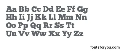 Review of the Chunkfive Font