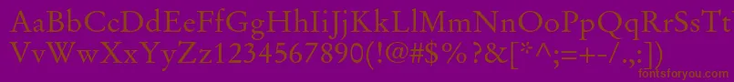 StempelgaramondltstdRoman Font – Brown Fonts on Purple Background