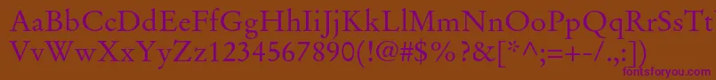 StempelgaramondltstdRoman Font – Purple Fonts on Brown Background