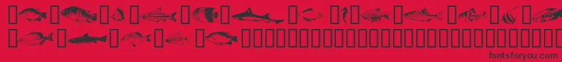 FishyprintTwoAoe Font – Black Fonts on Red Background