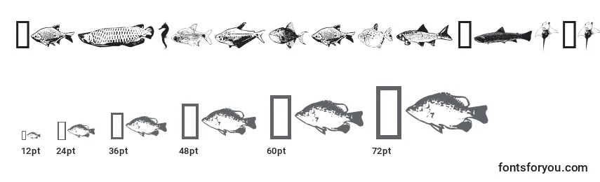 Размеры шрифта FishyprintTwoAoe