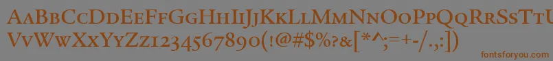 Шрифт LegacySerifMdScItcTtMed – коричневые шрифты на сером фоне