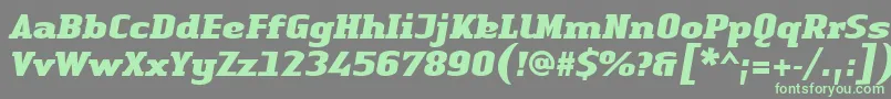 Шрифт LinotypeAuthenticSerifBlackitalic – зелёные шрифты на сером фоне