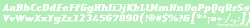 LinotypeAuthenticSerifBlackitalic Font – White Fonts on Green Background