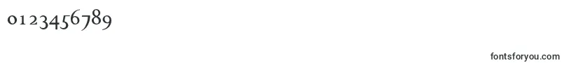 Chanticleerromannf Font – Fonts for Numbers and Digits