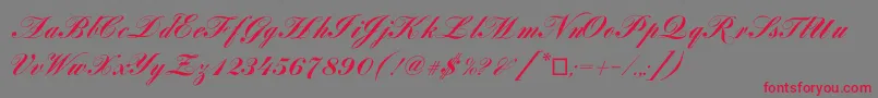 Louisacp Font – Red Fonts on Gray Background