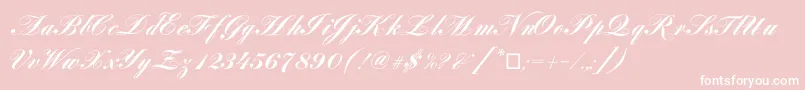 Louisacp Font – White Fonts on Pink Background