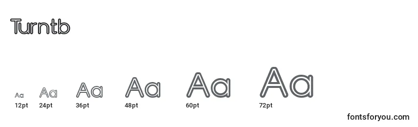 Turntb Font Sizes