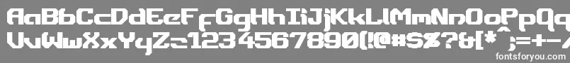 フォントDynothermBold – 灰色の背景に白い文字