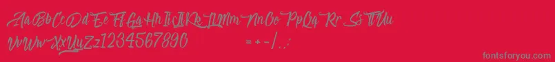 フォントAbsolute – 赤い背景に灰色の文字