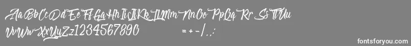 フォントAbsolute – 灰色の背景に白い文字