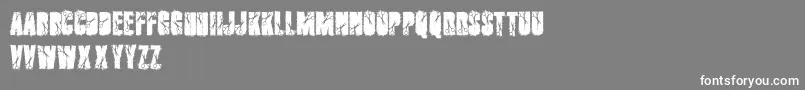 Cutter Font – White Fonts on Gray Background