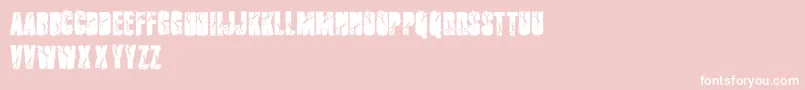 Cutter Font – White Fonts on Pink Background