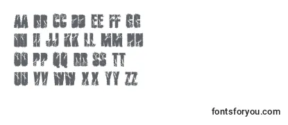 Review of the Cutter Font