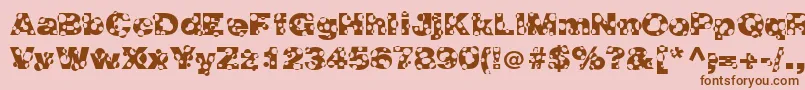 HolymolyNormal Font – Brown Fonts on Pink Background