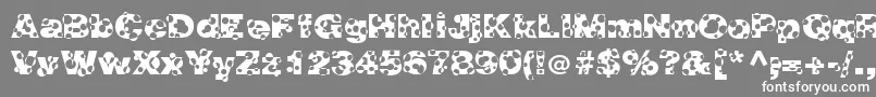 フォントHolymolyNormal – 灰色の背景に白い文字