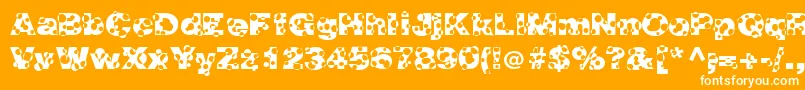 HolymolyNormal Font – White Fonts on Orange Background