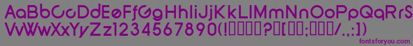 SfNewRepublicBold Font – Purple Fonts on Gray Background