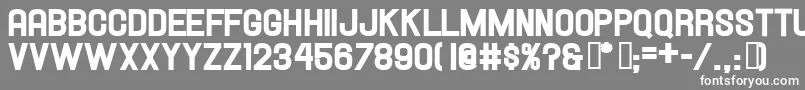 HallandaleHeavyJl Font – White Fonts on Gray Background
