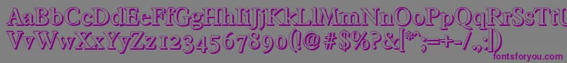 Шрифт FranciscoshadowMediumRegular – фиолетовые шрифты на сером фоне