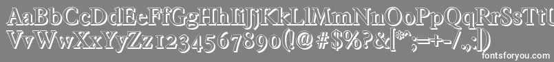 FranciscoshadowMediumRegular-Schriftart – Weiße Schriften auf grauem Hintergrund