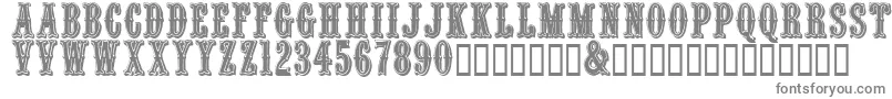 Quentincaps Font – Gray Fonts on White Background