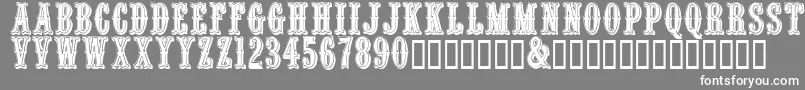 Quentincaps Font – White Fonts on Gray Background