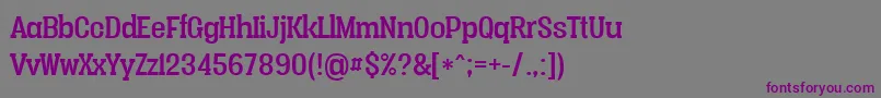 Шрифт Vacerserifregularpersonal – фиолетовые шрифты на сером фоне