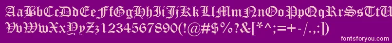 OtterdbNormal Font – Pink Fonts on Purple Background