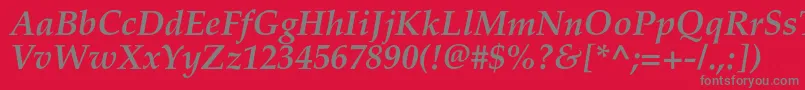 PalladiumcBolditalic Font – Gray Fonts on Red Background