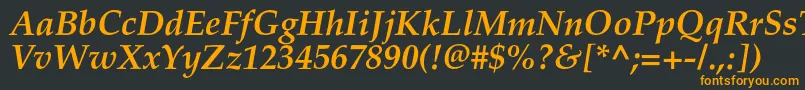 フォントPalladiumcBolditalic – 黒い背景にオレンジの文字