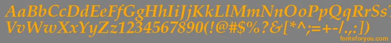 フォントPalladiumcBolditalic – オレンジの文字は灰色の背景にあります。