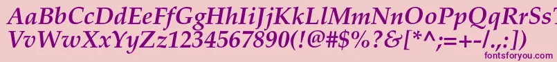 PalladiumcBolditalic Font – Purple Fonts on Pink Background