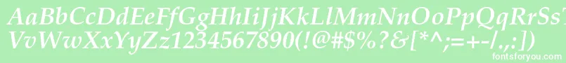 PalladiumcBolditalic Font – White Fonts on Green Background