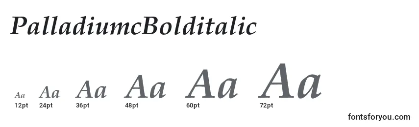Размеры шрифта PalladiumcBolditalic