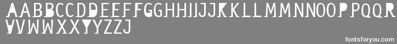 Sanserif Font – White Fonts on Gray Background