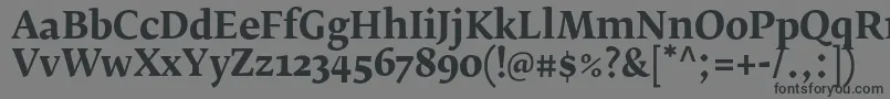 FedraserifbproBold Font – Black Fonts on Gray Background