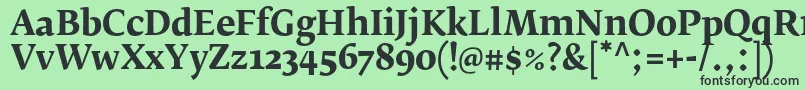 Шрифт FedraserifbproBold – чёрные шрифты на зелёном фоне