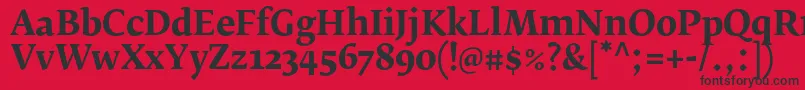 フォントFedraserifbproBold – 赤い背景に黒い文字