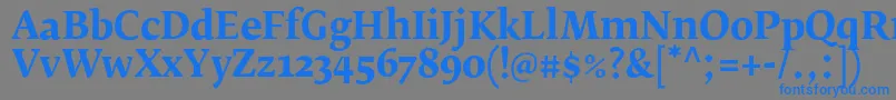 フォントFedraserifbproBold – 灰色の背景に青い文字