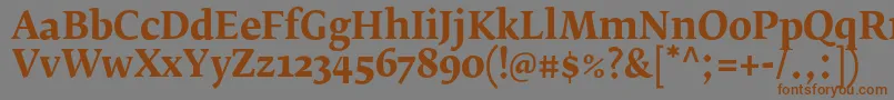 フォントFedraserifbproBold – 茶色の文字が灰色の背景にあります。