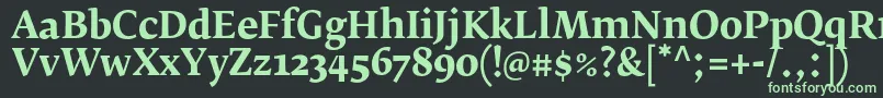 フォントFedraserifbproBold – 黒い背景に緑の文字