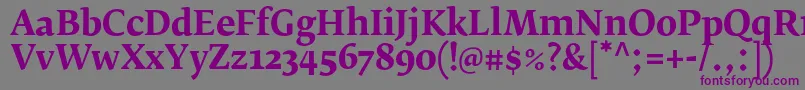 フォントFedraserifbproBold – 紫色のフォント、灰色の背景