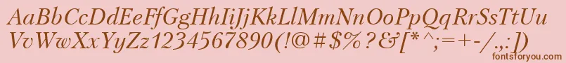 PetersburgItalic Font – Brown Fonts on Pink Background