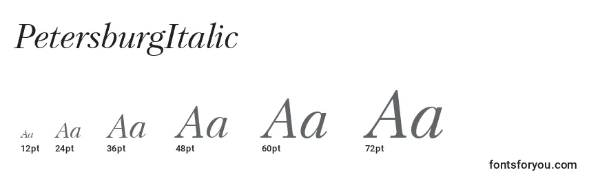 Размеры шрифта PetersburgItalic