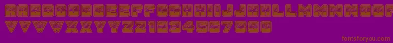 SunsetGp Font – Brown Fonts on Purple Background