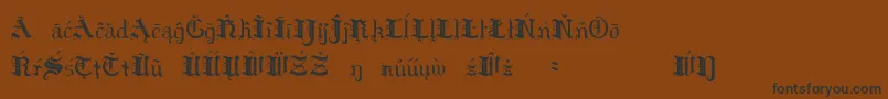 HildaSonnenscheinExtraCharacters Font – Black Fonts on Brown Background