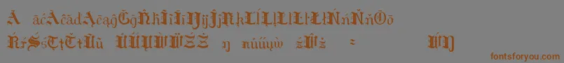 HildaSonnenscheinExtraCharacters Font – Brown Fonts on Gray Background